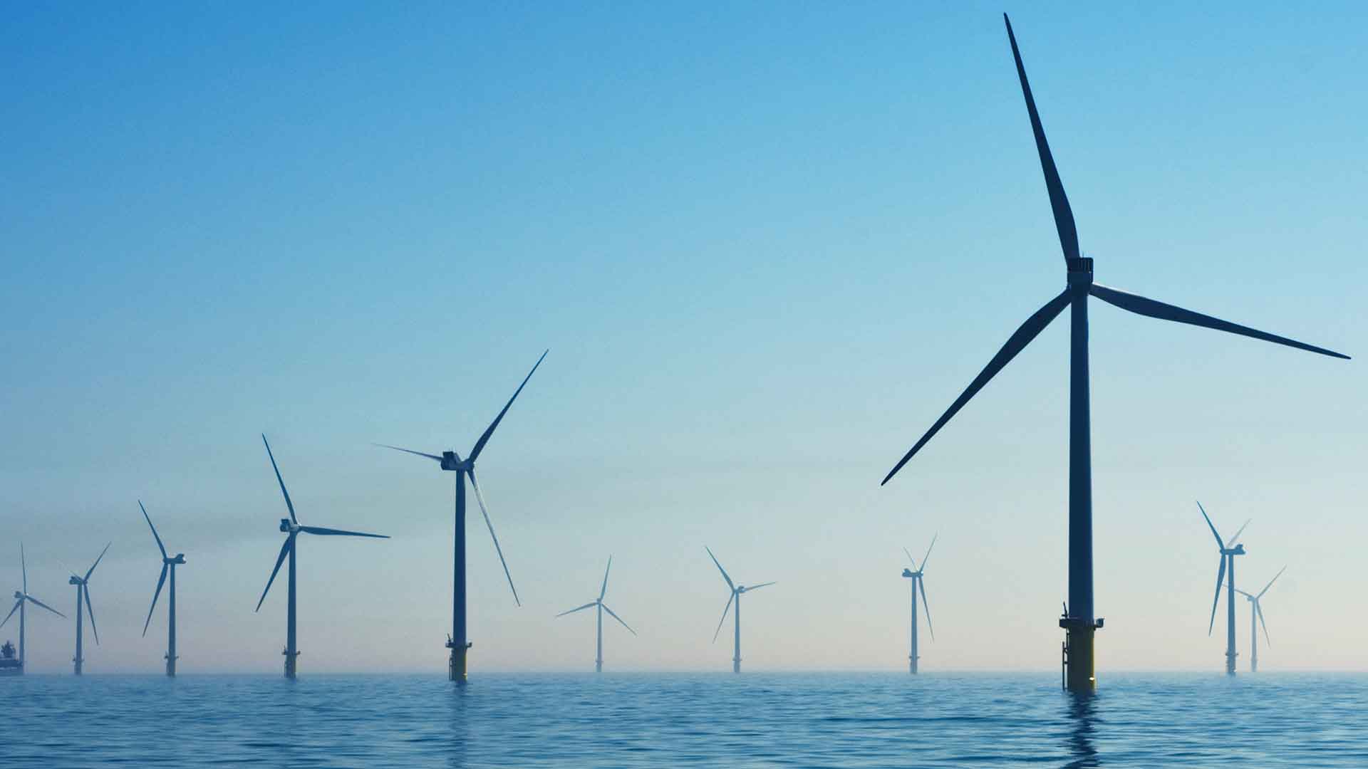 Cashback Sustentável